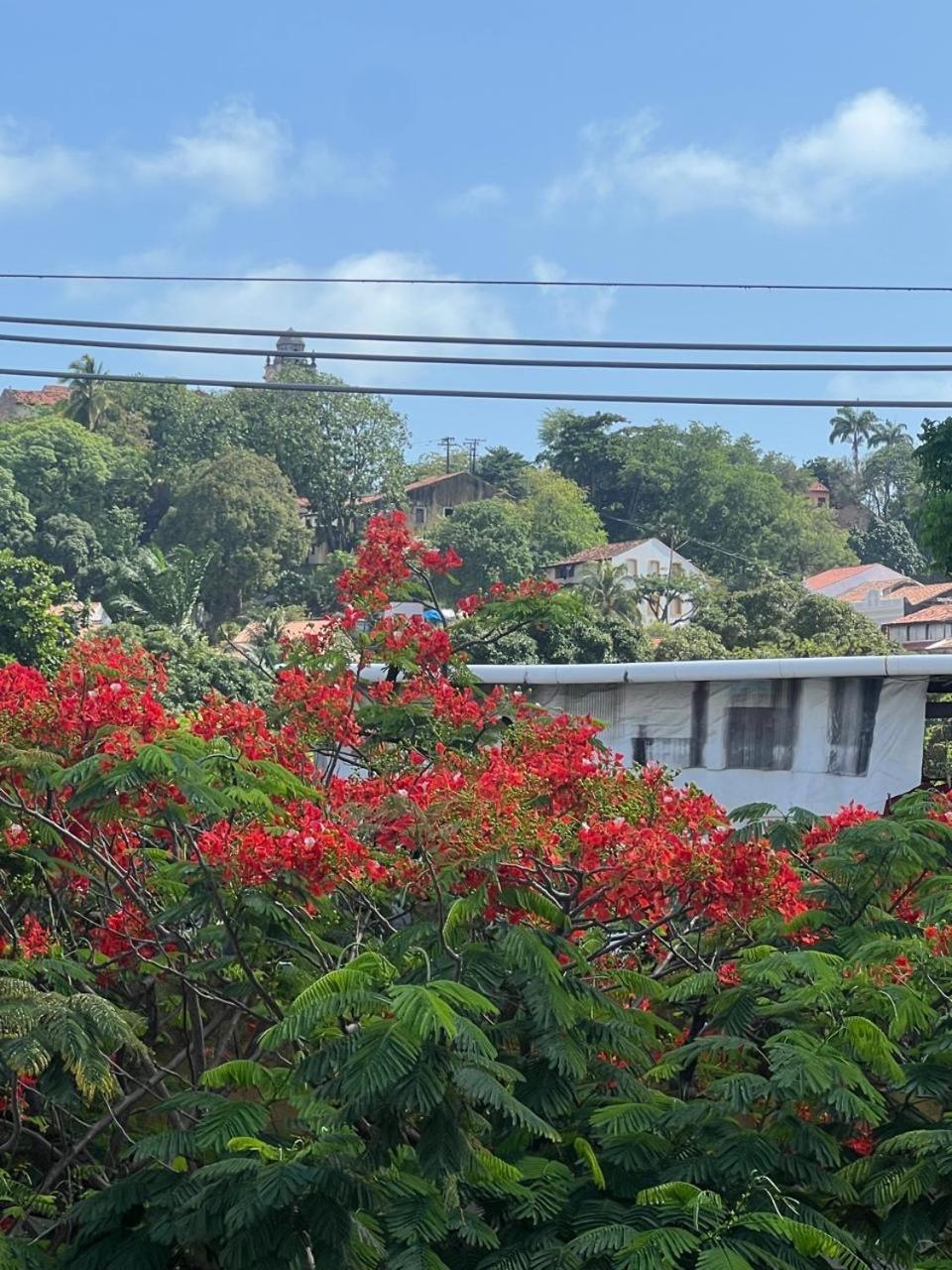 Pousada Do Leo Olinda Esterno foto